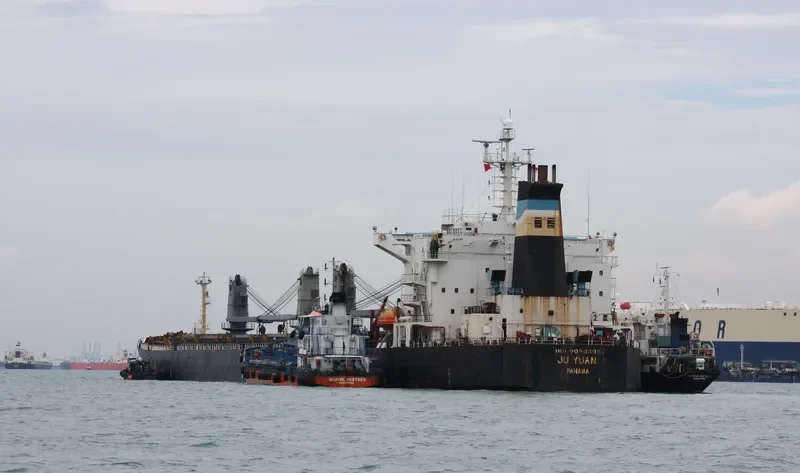 OCEAN PEACE Bulk Carrier IMO 9050395