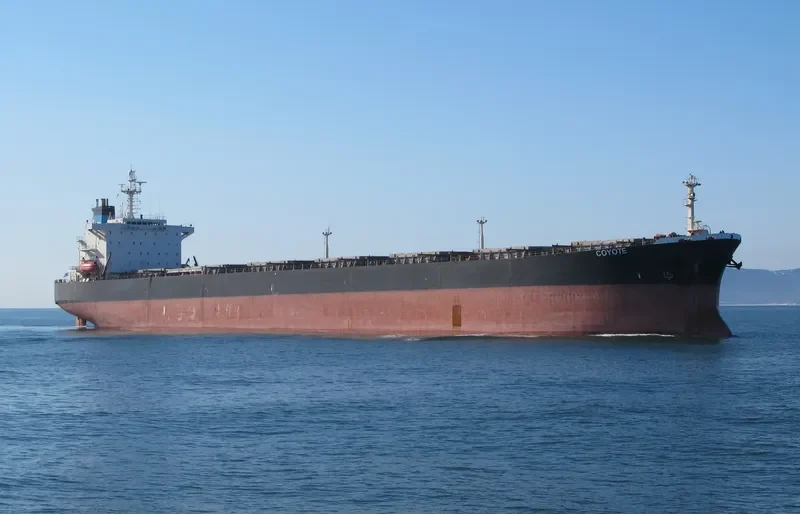 OCEAN PEACE Bulk Carrier IMO 9050395 photo 2