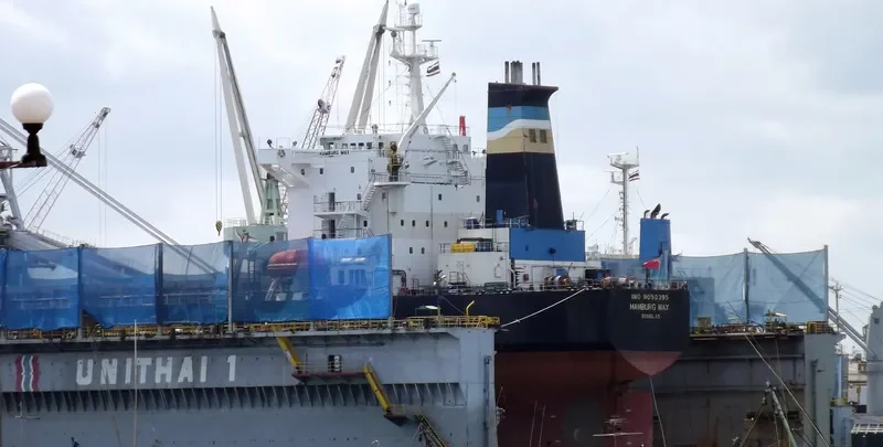 OCEAN PEACE Bulk Carrier IMO 9050395 photo 4