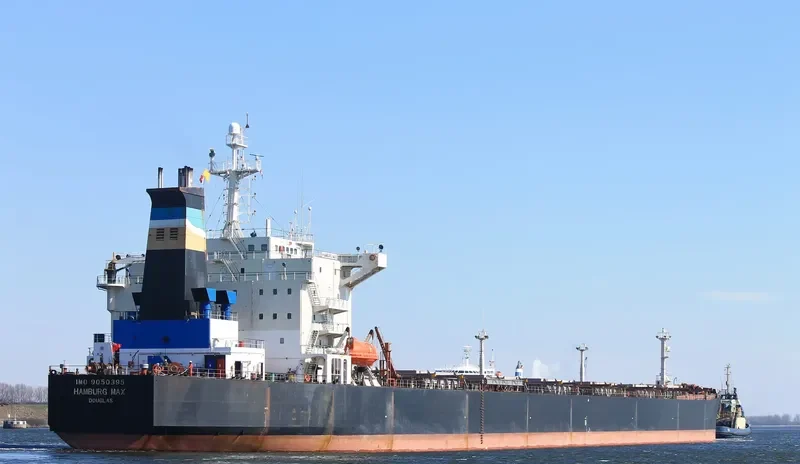 OCEAN PEACE Bulk Carrier IMO 9050395 photo 5