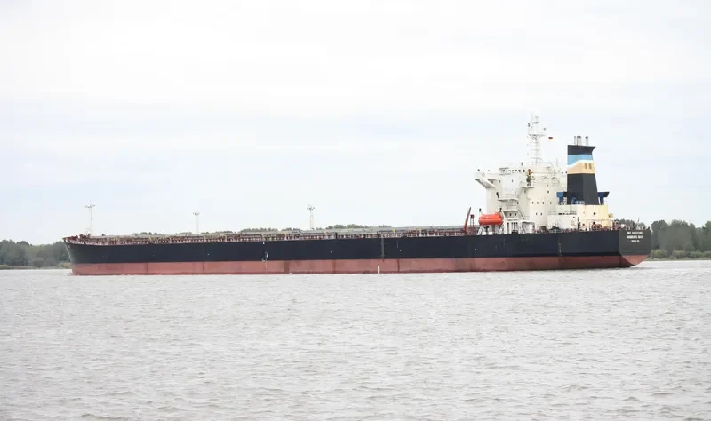 OCEAN PEACE Bulk Carrier IMO 9050395 photo 9