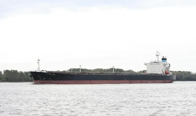 OCEAN PEACE Bulk Carrier IMO 9050395 photo 10