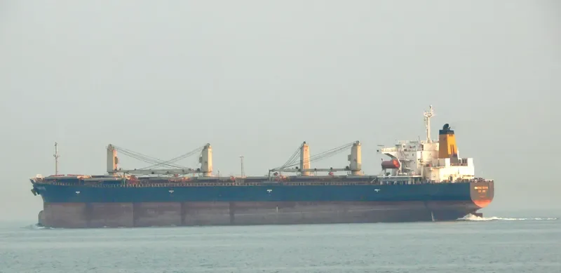 VINALINES GLOBAL Bulk Carrier IMO 9050668 photo 2
