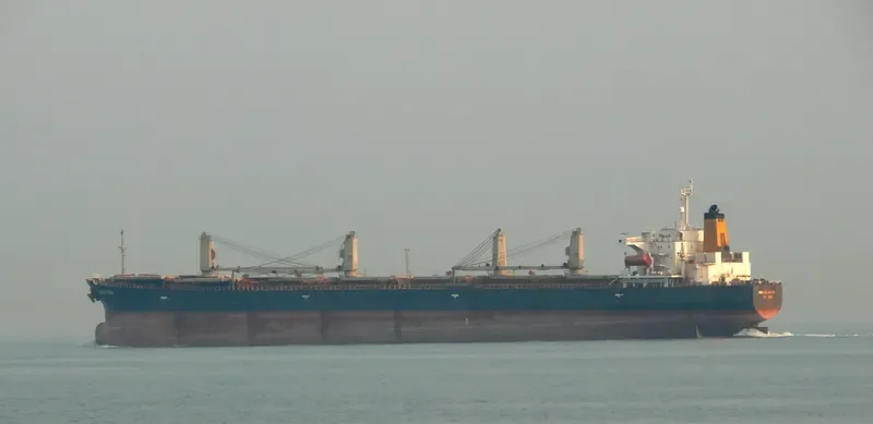 VINALINES GLOBAL Bulk Carrier IMO 9050668 photo 3