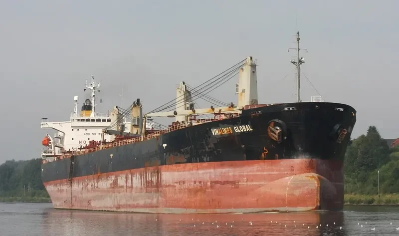 VINALINES GLOBAL Bulk Carrier IMO 9050668 photo 7
