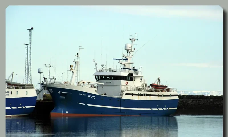 TJALDUR General Cargo IMO 9050709 photo 8