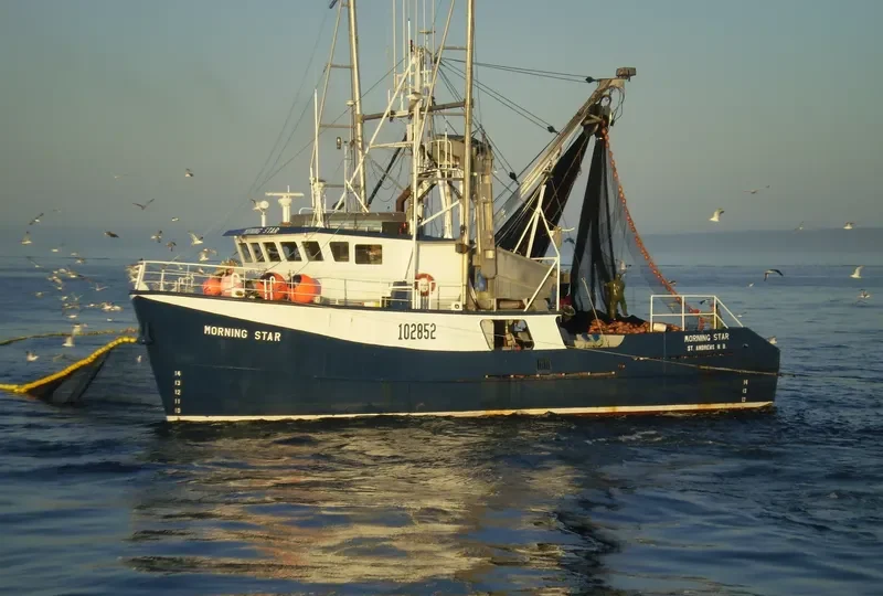MORNING STAR General Cargo IMO 9051040 photo 4