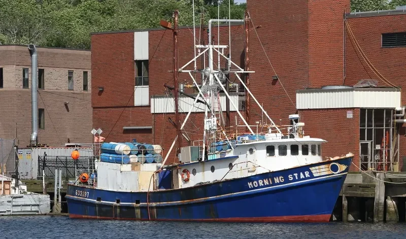 MORNING STAR General Cargo IMO 9051040 photo 8