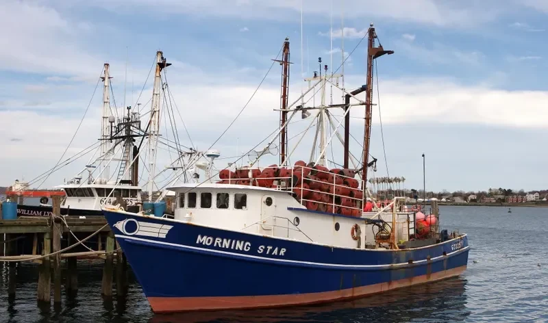 MORNING STAR General Cargo IMO 9051040 photo 9