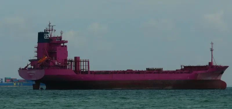 XIN BIN JIANG Container Ship IMO 9051222 photo 3