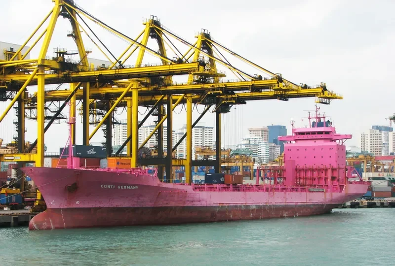XIN BIN JIANG Container Ship IMO 9051222 photo 6