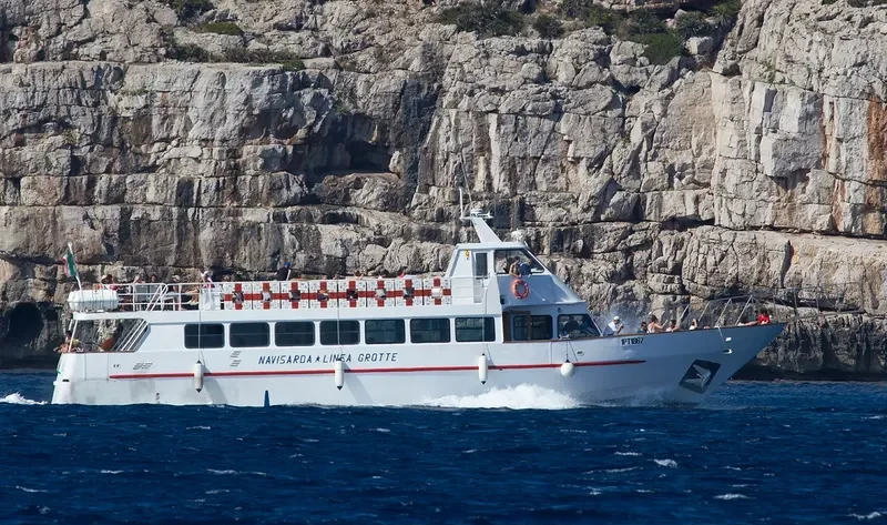 DELPHINUS Passenger Ship IMO 9051349