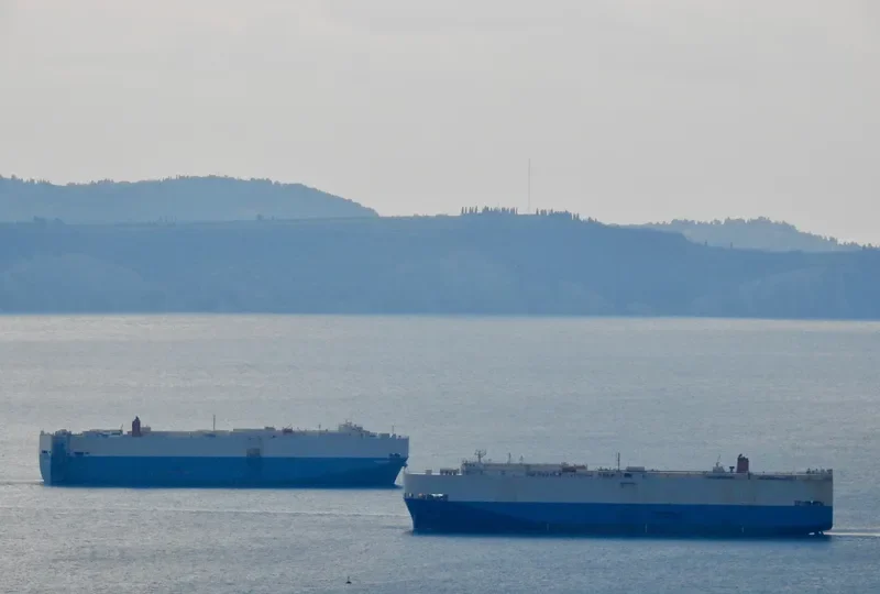 COUGAR ACE General Cargo IMO 9051375
