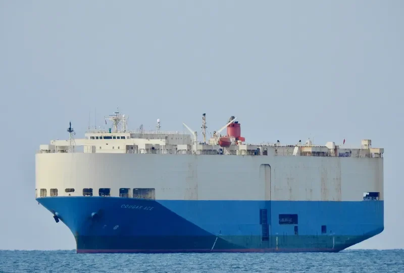 COUGAR ACE General Cargo IMO 9051375 photo 3