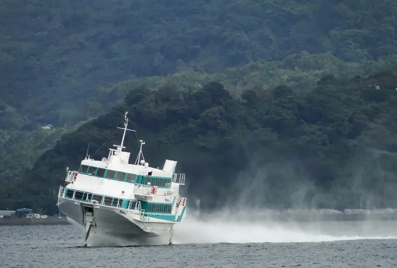 TOPPY NO.2 Passenger Ship IMO 9051387 photo 3