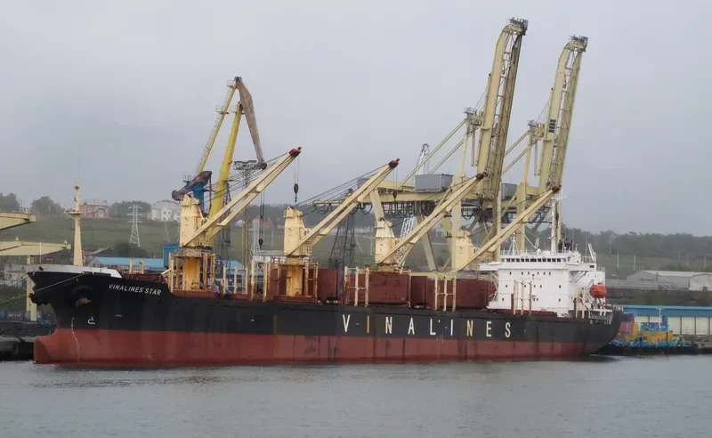 T T GOLD Bulk Carrier IMO 9052329 photo 4