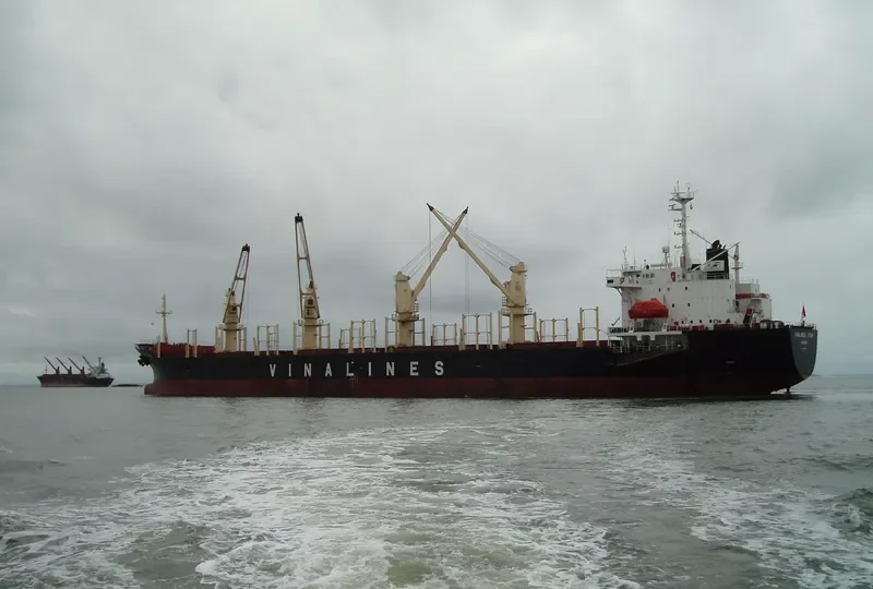 T T GOLD Bulk Carrier IMO 9052329 photo 6