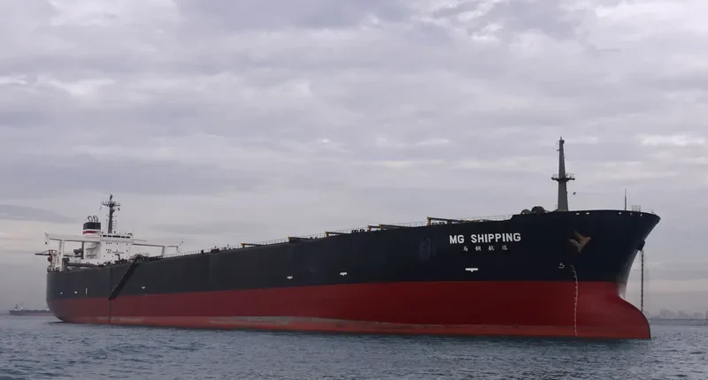 MG SHIPPING Bulk Carrier IMO 9052343 photo 2