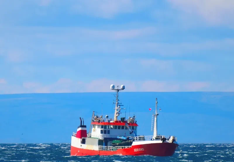 SEIFJORD General Cargo IMO 9052575 photo 8