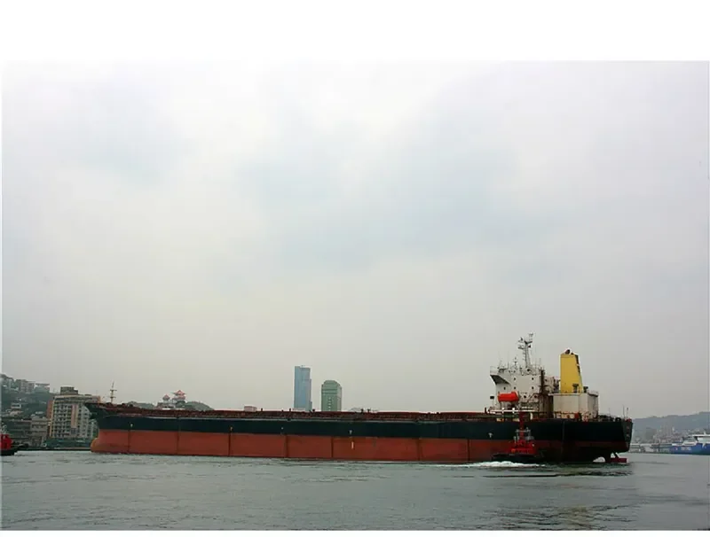 THE OPENER Bulk Carrier IMO 9052604 photo 5