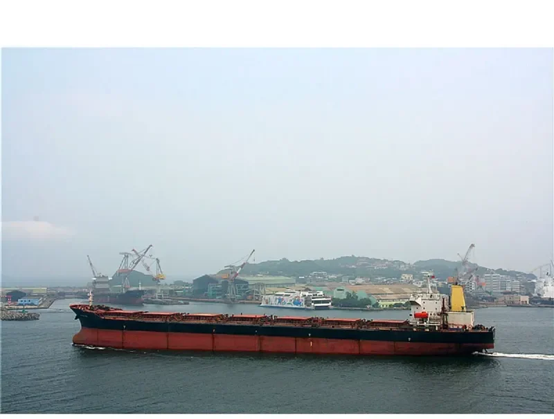 THE OPENER Bulk Carrier IMO 9052604 photo 7