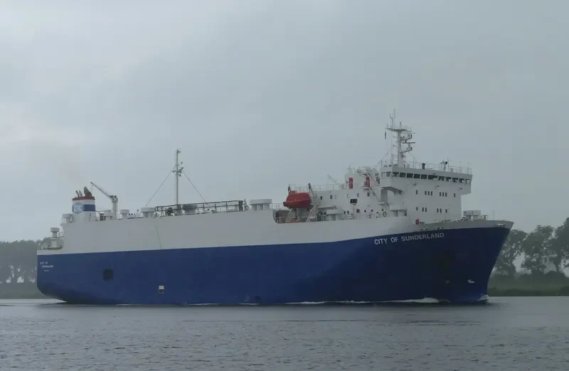 BRUISER Bulk Carrier IMO 9052721 photo 2