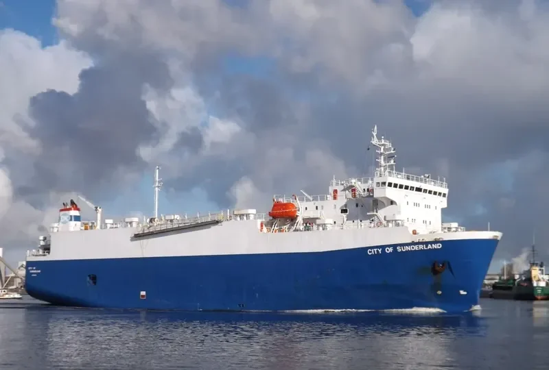 BRUISER Bulk Carrier IMO 9052721 photo 4