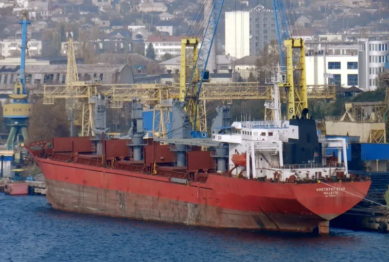 BRUISER Bulk Carrier IMO 9052721 photo 6