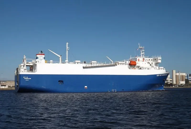 BRUISER Bulk Carrier IMO 9052721 photo 8