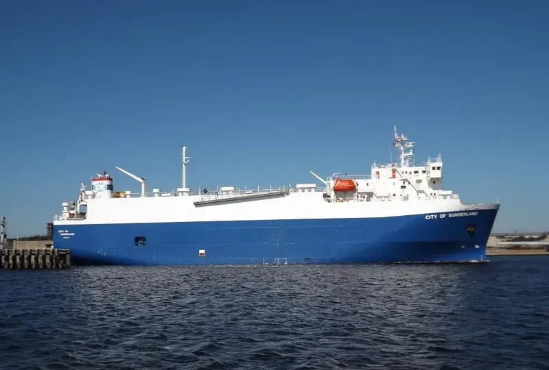 BRUISER Bulk Carrier IMO 9052721 photo 9