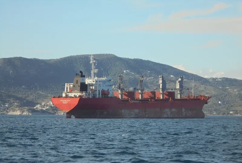BRUISER Bulk Carrier IMO 9052721 photo 10
