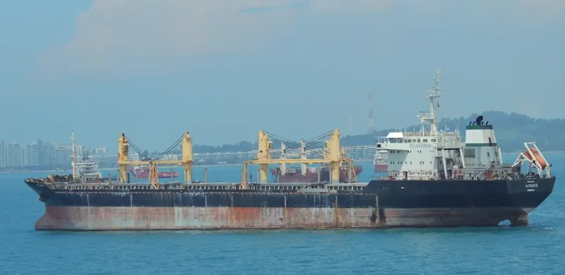 ASTRAEUS Bulk Carrier IMO 9052733 photo 4