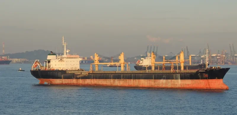 ASTRAEUS Bulk Carrier IMO 9052733 photo 6