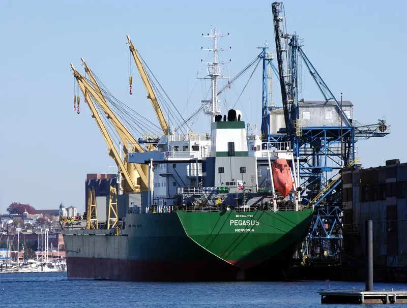 ASTRAEUS Bulk Carrier IMO 9052733 photo 9