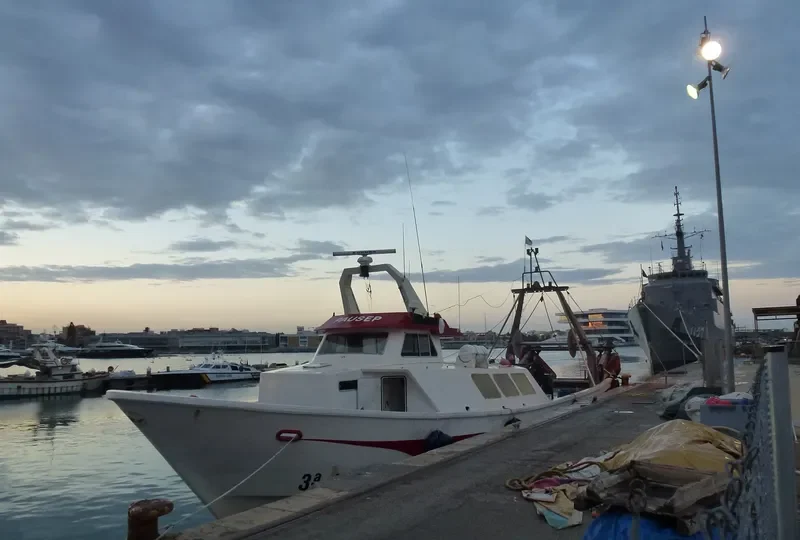 PAUSEP General Cargo IMO 9052769