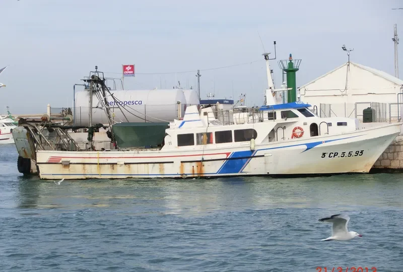 PAGRE PRIMERO General Cargo IMO 9052771 photo 2