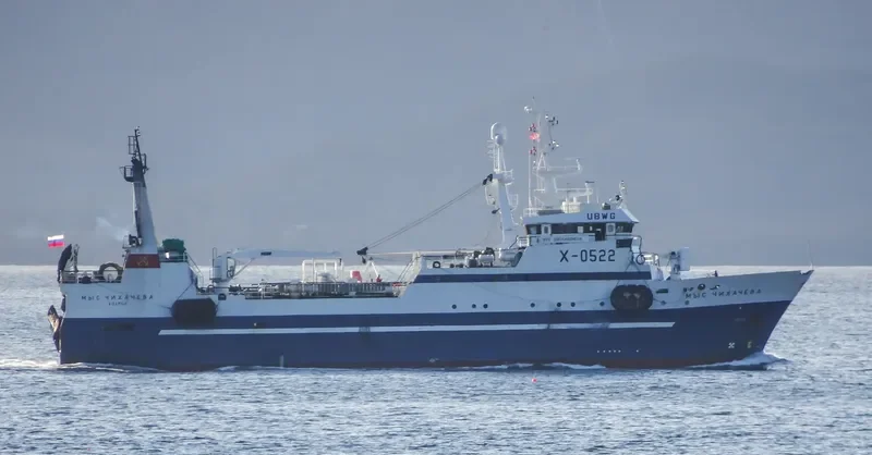 MYS CHIKHACHEVA General Cargo IMO 9053282 photo 3