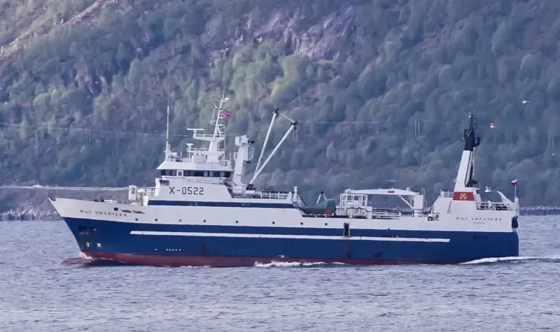 MYS CHIKHACHEVA General Cargo IMO 9053282 photo 8