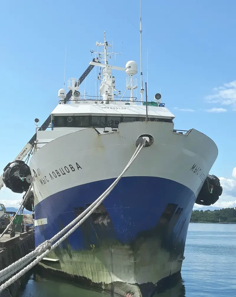 MYS LOVTSOVA General Cargo IMO 9053311 photo 4