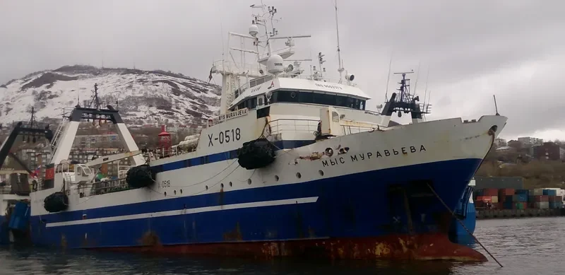 MYS MURAVJEVA General Cargo IMO 9053373 photo 2