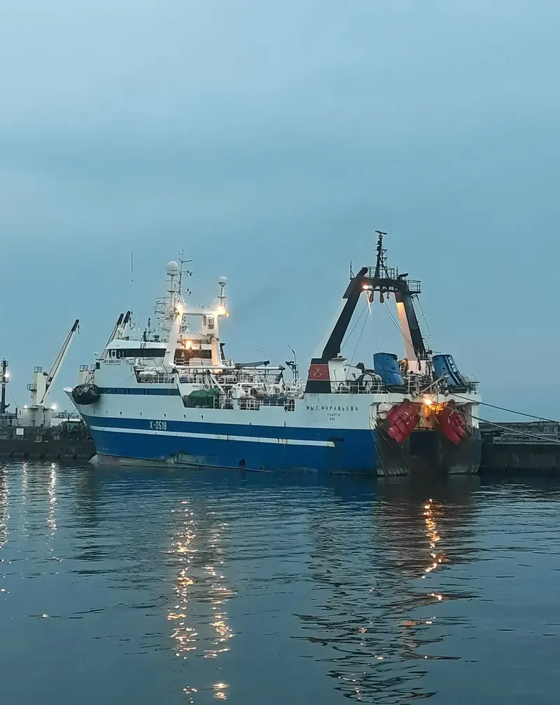 MYS MURAVJEVA General Cargo IMO 9053373 photo 3