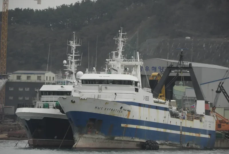 MYS KURBATOVA General Cargo IMO 9053397 photo 5
