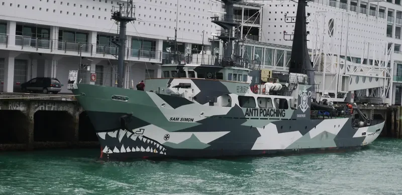 SAM SIMON General Cargo IMO 9053452 photo 9