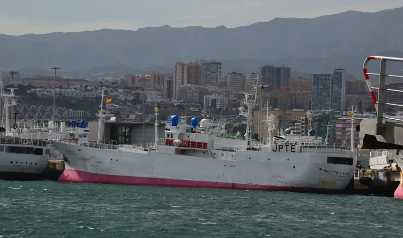 KOYO MARU NO.7 General Cargo IMO 9053476