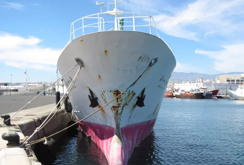 TAIWA MARU NO.88 General Cargo IMO 9053488 photo 4
