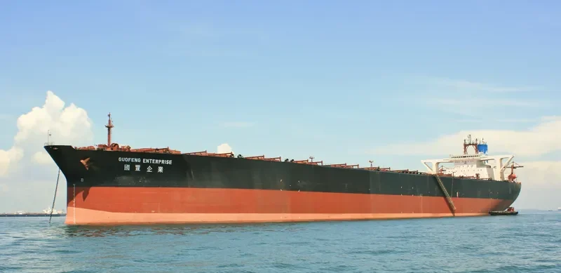 GUOFENG ENTERPRISE Bulk Carrier IMO 9053579 photo 3