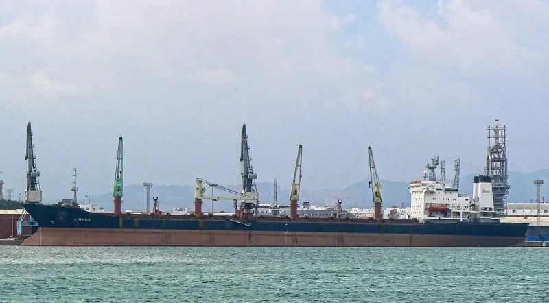 LIMNOS Bulk Carrier IMO 9053775 photo 2