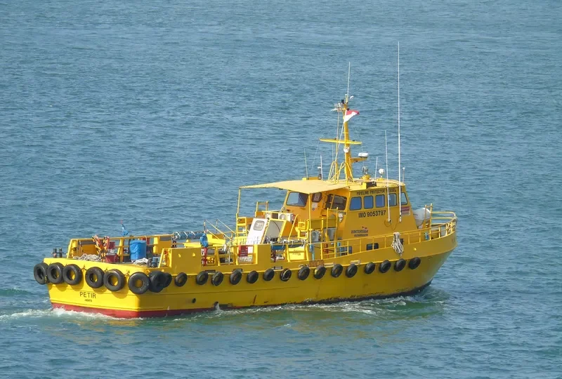 PETIR General Cargo IMO 9053787