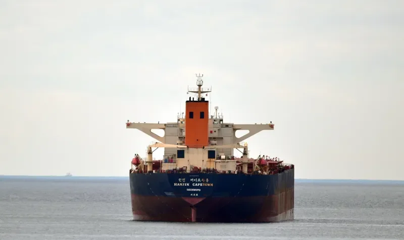 CADET Bulk Carrier IMO 9054224 photo 2