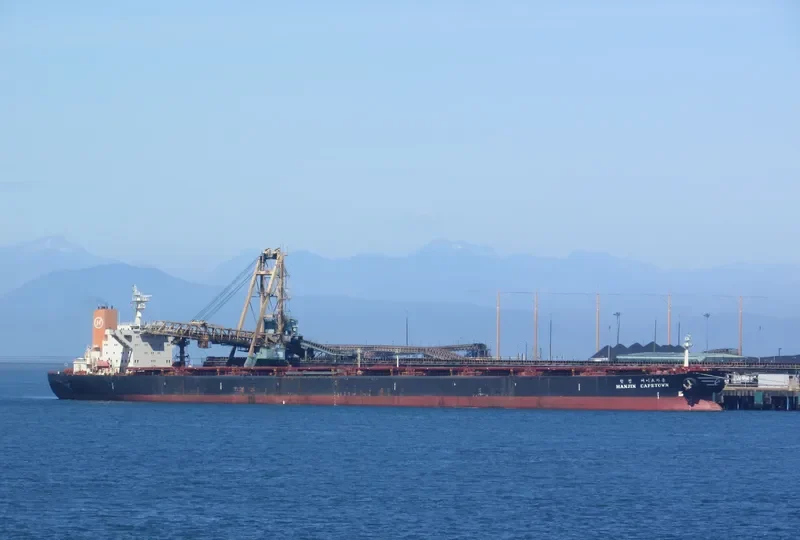 CADET Bulk Carrier IMO 9054224 photo 5